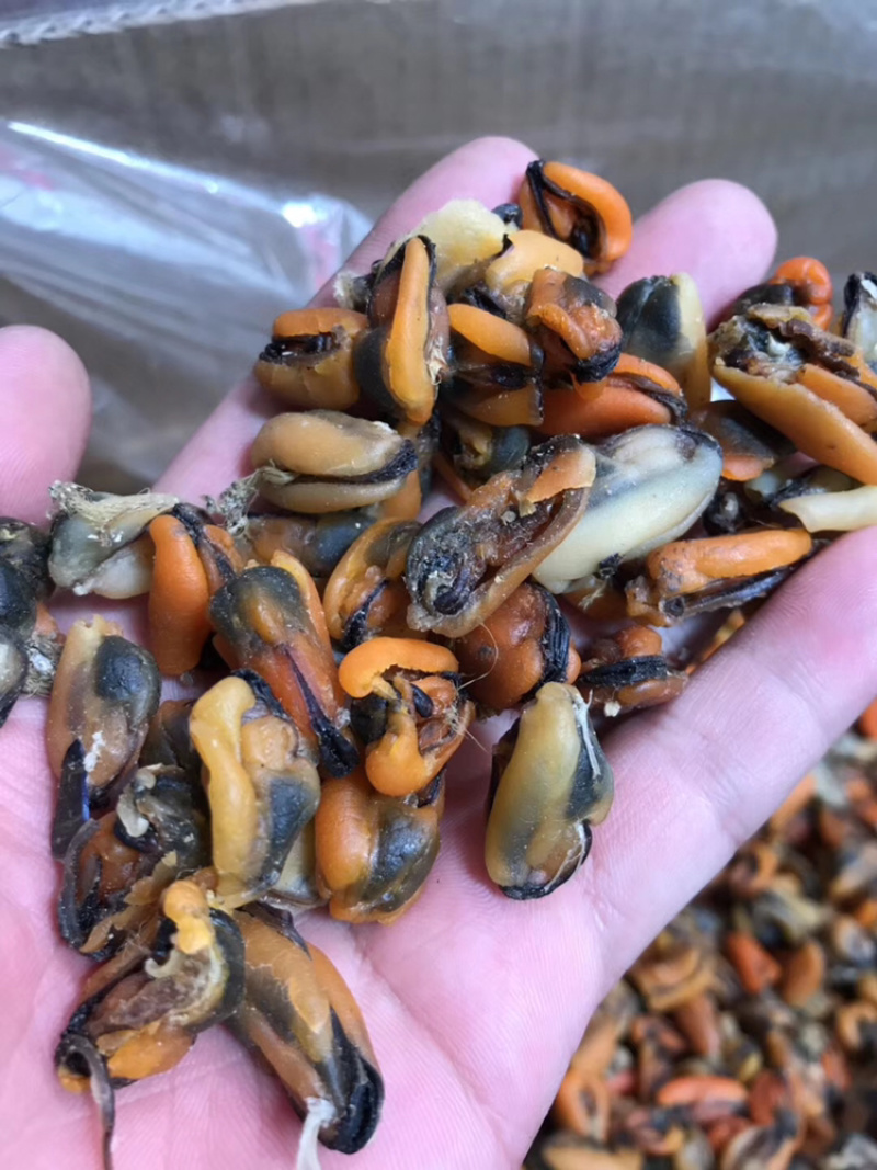 工厂批发大连淡菜干100-800头淡菜批发