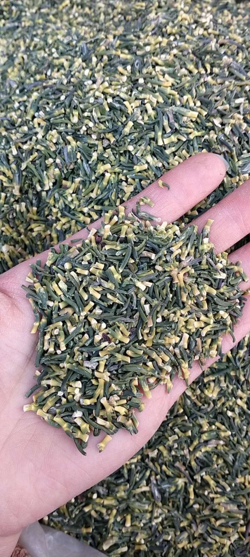 莲子芯产地直销量大从优一手货源