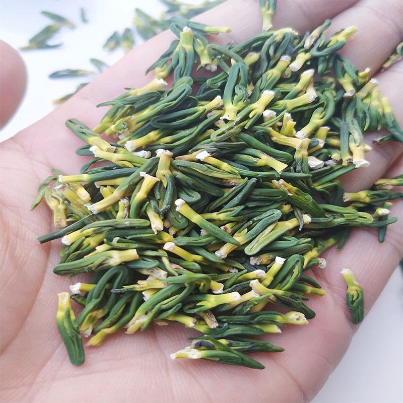 莲子芯产地直销量大从优一手货源