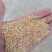 饲料添加剂中药渣粉豆粕辅料木糖醇喷浆豆渣