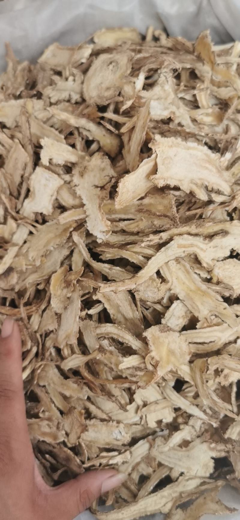 当归片当归头产地直销量大从优