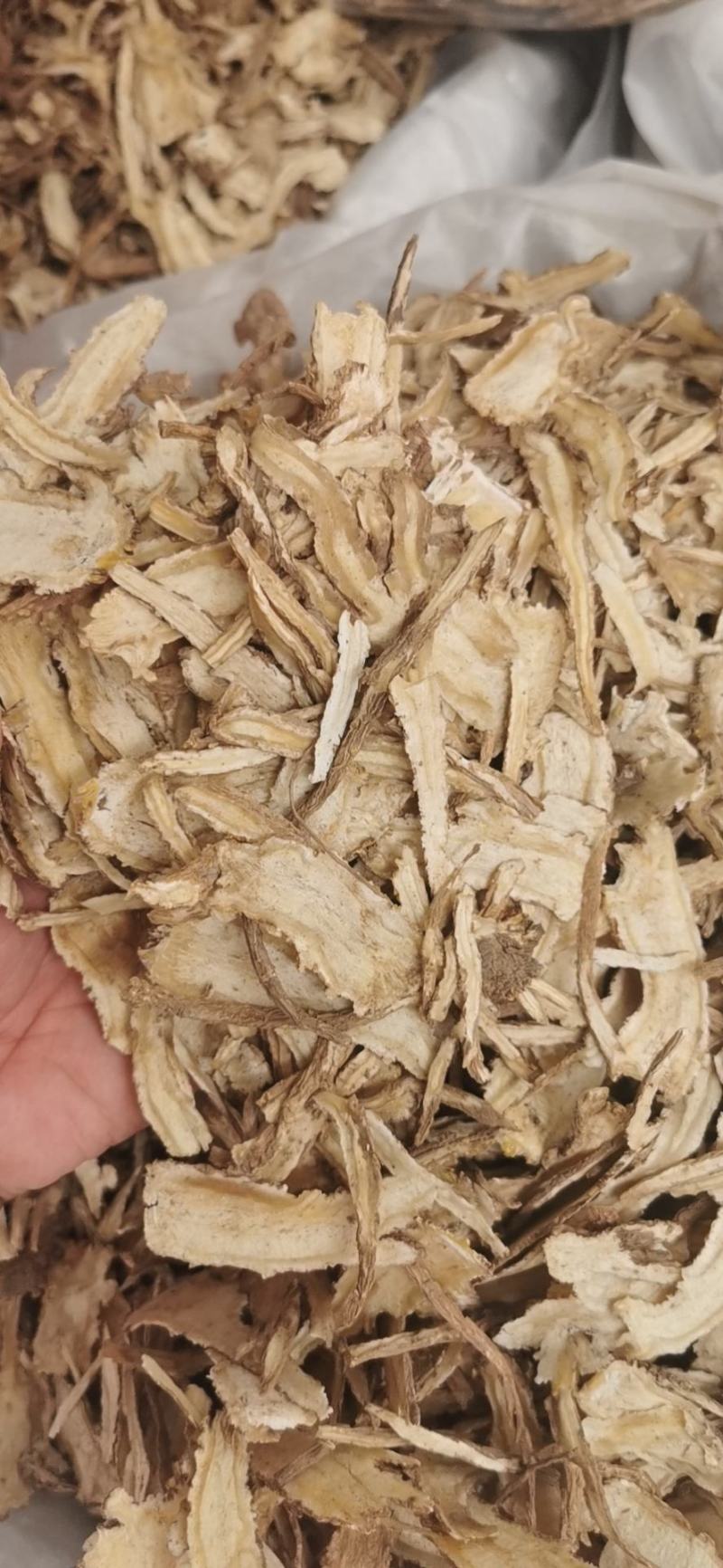当归片当归头产地直销量大从优