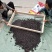 广西柳州象州地区种植果沙糖桔落地小果药材用
