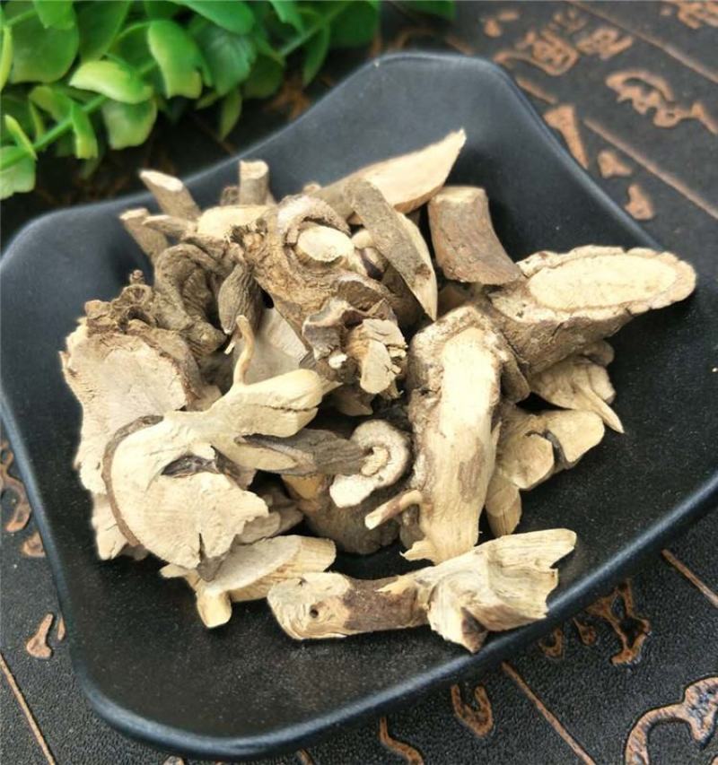 无硫新货中药材小罗伞血党斑叶朱砂根小凉伞