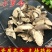 无硫新货中药材小罗伞血党斑叶朱砂根小凉伞