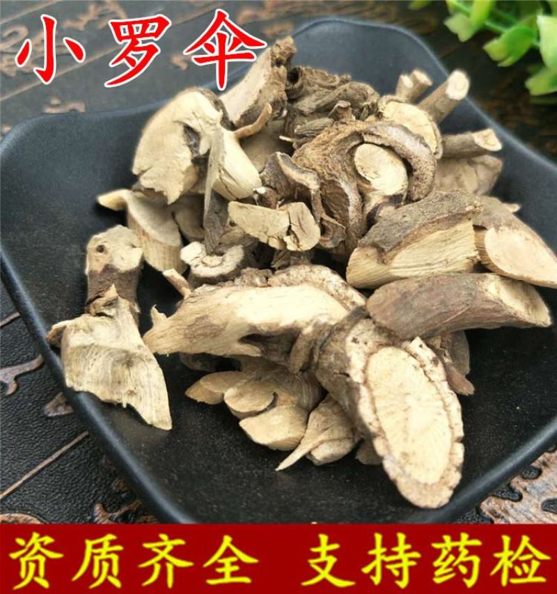 无硫新货中药材小罗伞血党斑叶朱砂根小凉伞