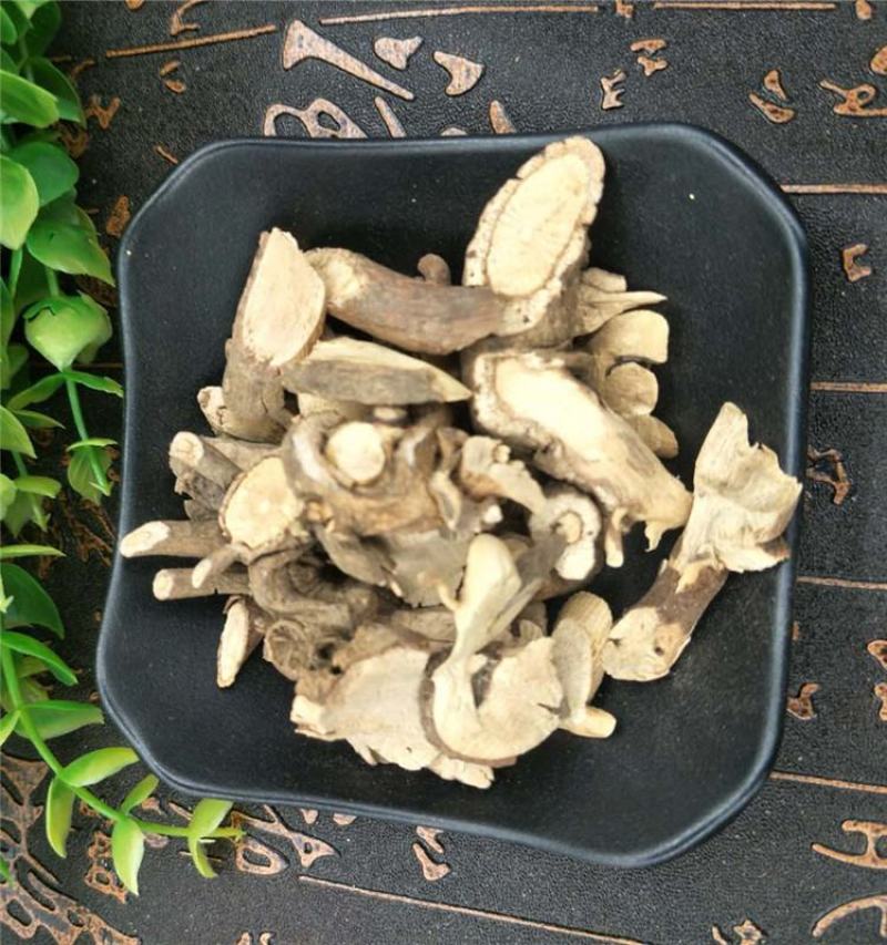 无硫新货中药材小罗伞血党斑叶朱砂根小凉伞