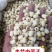 白莲子产地直销量大从优