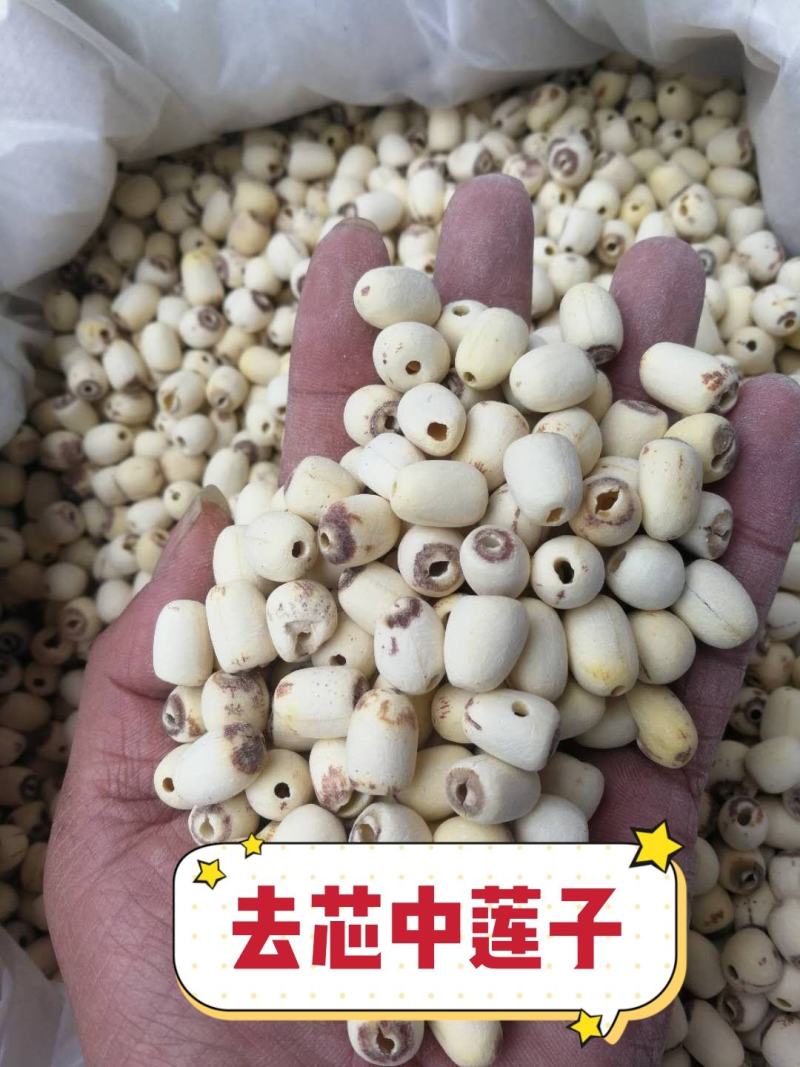 白莲子产地直销量大从优