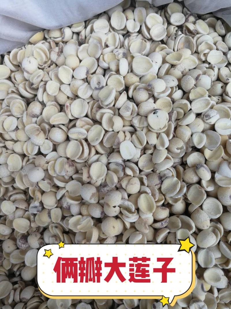 白莲子产地直销量大从优