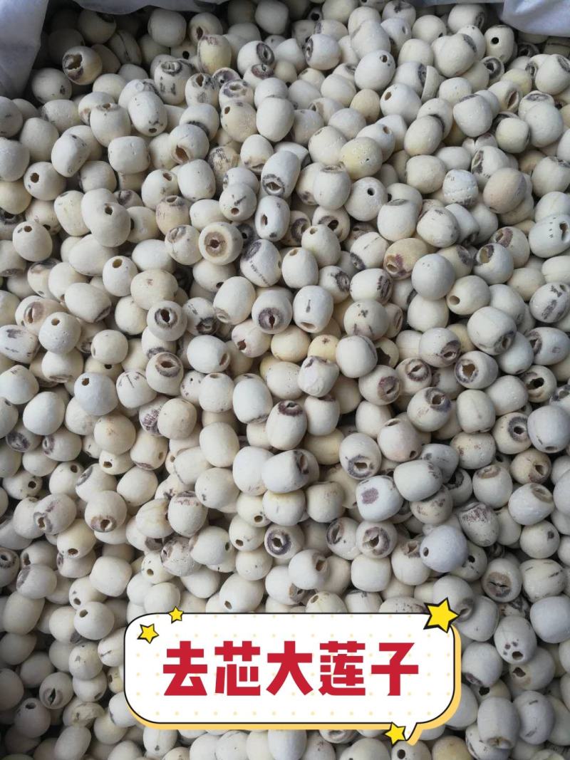 白莲子产地直销量大从优