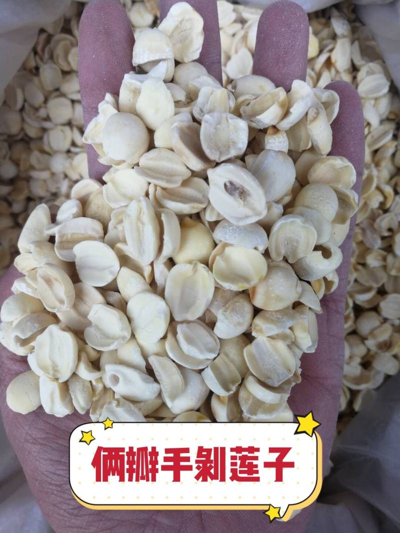 白莲子产地直销量大从优