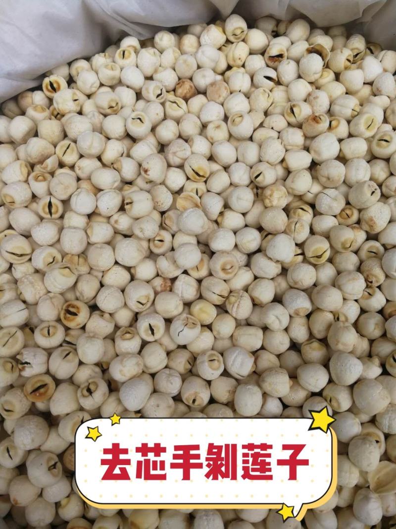 白莲子产地直销量大从优