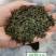 降价了素茶/绿毛峰茶叶浓香型四川蒙顶山茶云雾毛峰