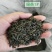 降价了素茶/绿毛峰茶叶浓香型四川蒙顶山茶云雾毛峰