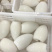 墨鱼筒中西餐、自助火锅食材、厂家直销批发、全国发货。