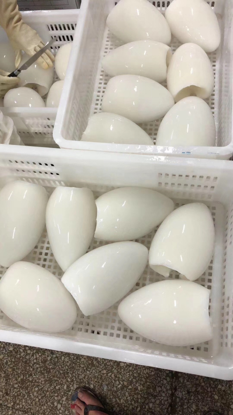 墨鱼筒中西餐、自助火锅食材、厂家直销批发、全国发货。