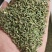 甘肃金塔精品纯绿小茴香