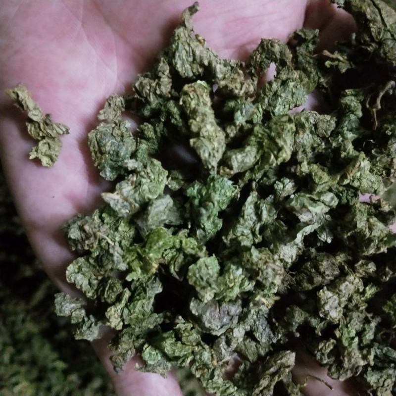 青钱柳茶修水金钱柳茶