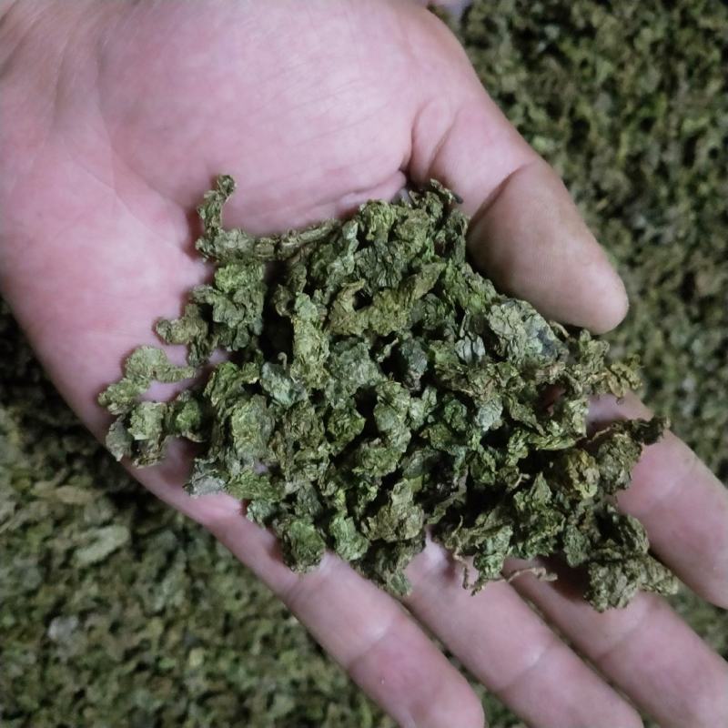 青钱柳茶修水金钱柳茶