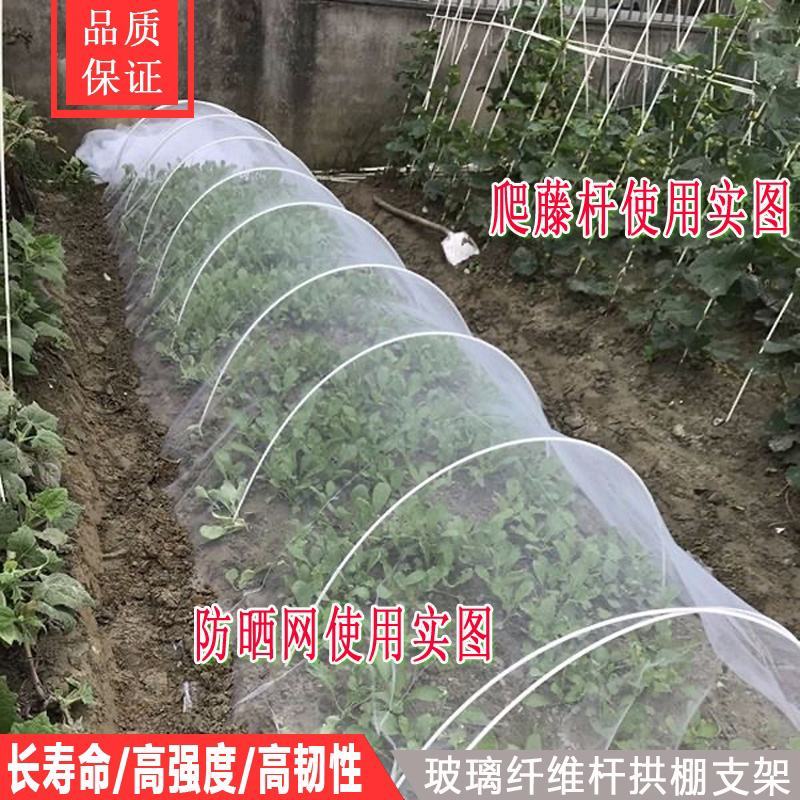 小拱棚支架农用蔬菜棚花卉育苗保温玻璃纤维弹力棒大棚骨架花