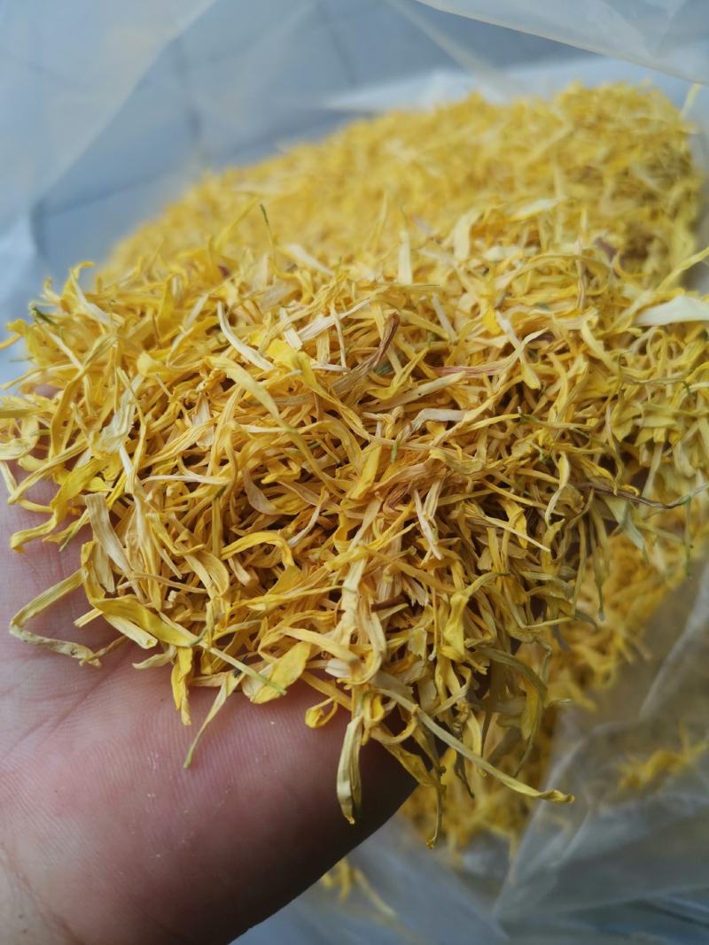 金丝皇菊花瓣婺源皇菊花瓣黄山贡菊花瓣花沫子中药材原料