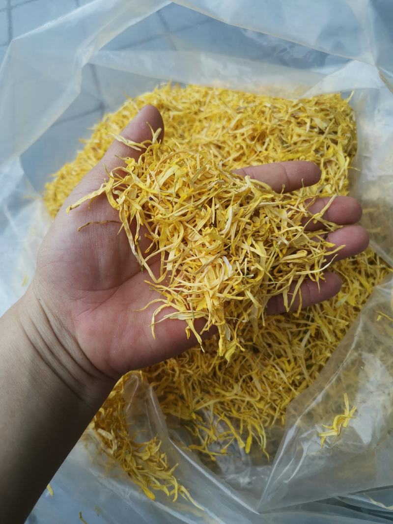 金丝皇菊花瓣婺源皇菊花瓣黄山贡菊花瓣花沫子中药材原料