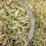 铁皮石斛切片干片正品铁皮石斛片枫斗养生资补泡茶饮