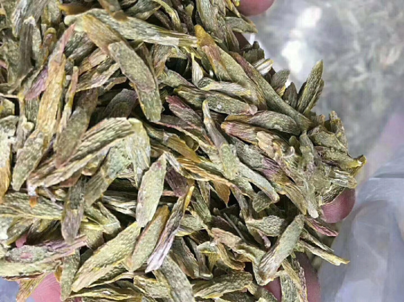 铁皮石斛切片干片正品铁皮石斛片枫斗养生资补泡茶饮
