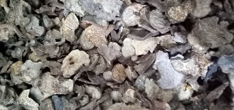 松露干片，大自然的美食