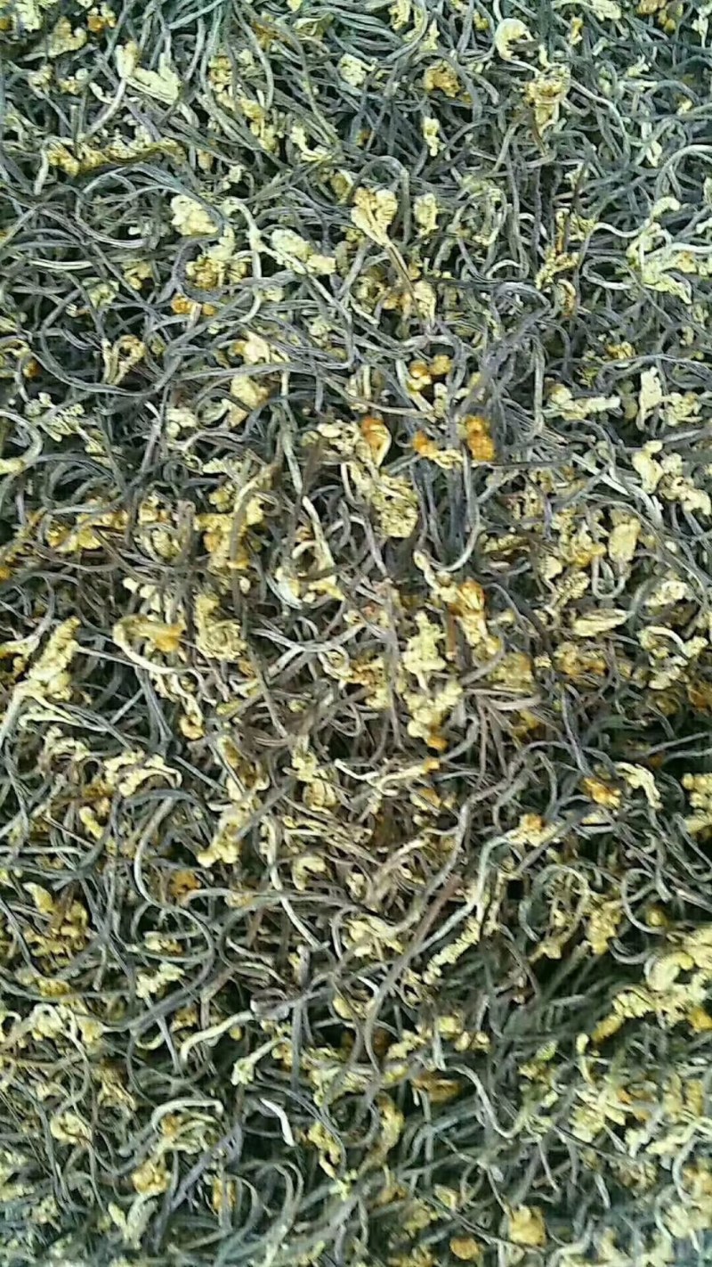 出口级蕨菜干，没有老根，22斤一箱，天然优质蕨菜大量批发