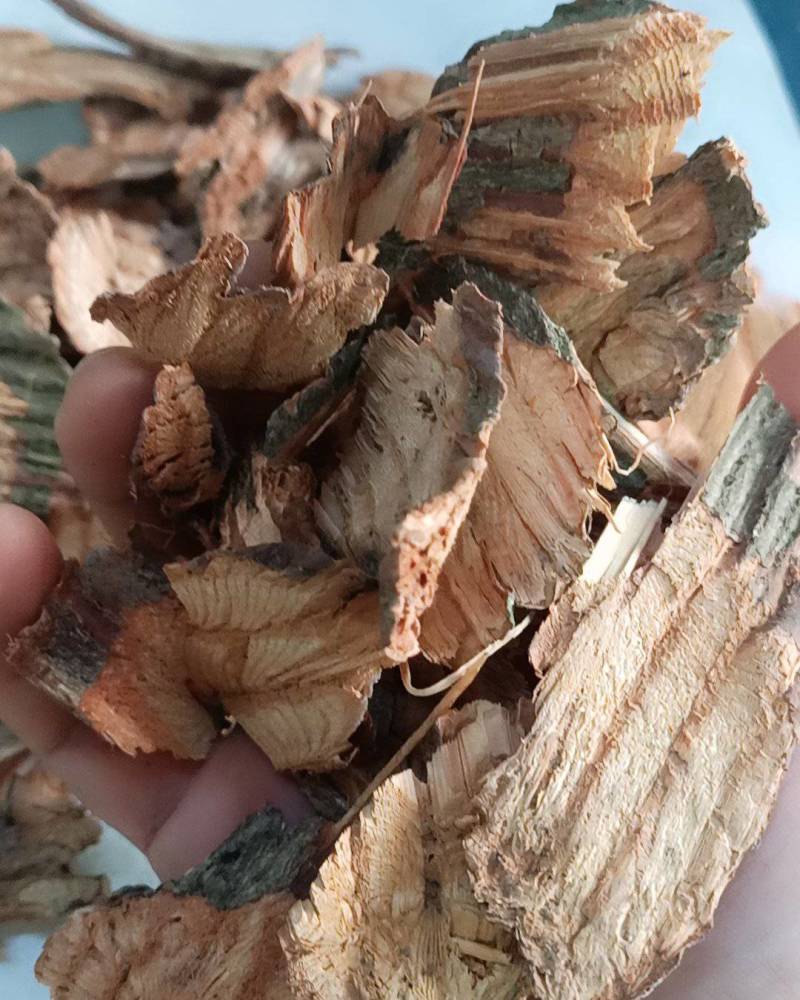 扁担藤野生中药材大芦藤扁藤铁带过江扁龙扁骨风腰带