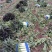 红叶香莴苣莴笋大量上市产地直发，品质保证货源充足