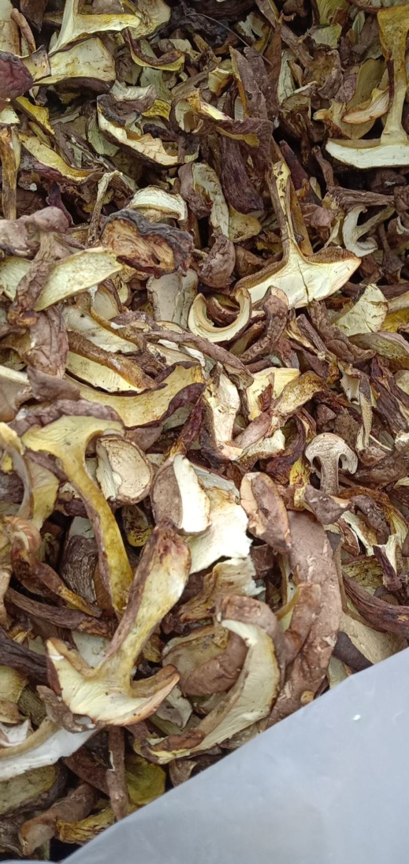 牛肝菌，松茸，白葱，水白葱，见水清（干，鲜）同售