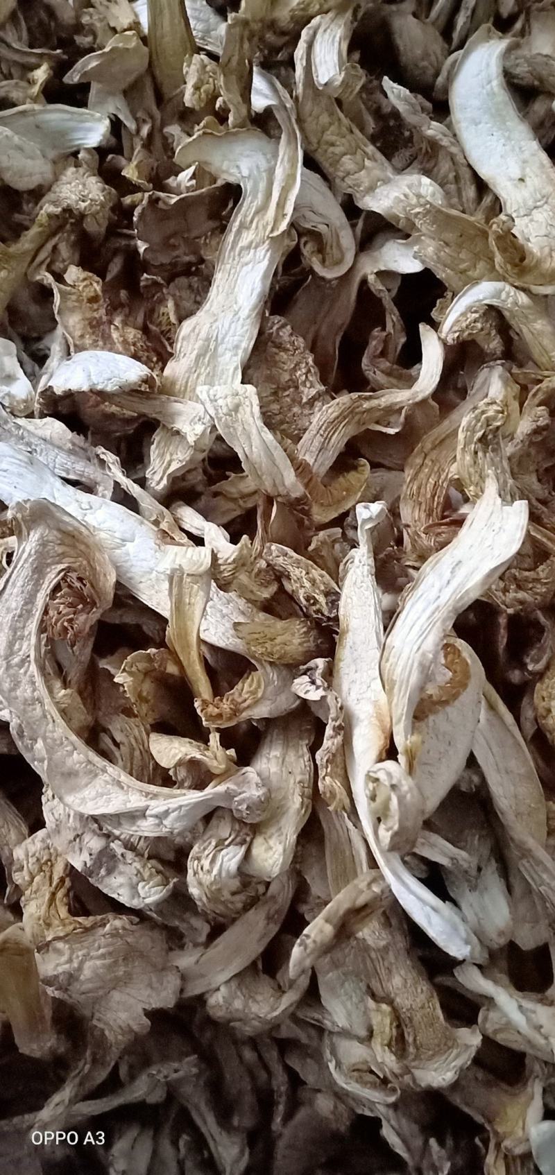 牛肝菌，松茸，白葱，水白葱，见水清（干，鲜）同售