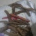 铁扫把，刚在大山上挖回来的
