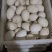 鹅蛋，七天以内新鲜绿色食品