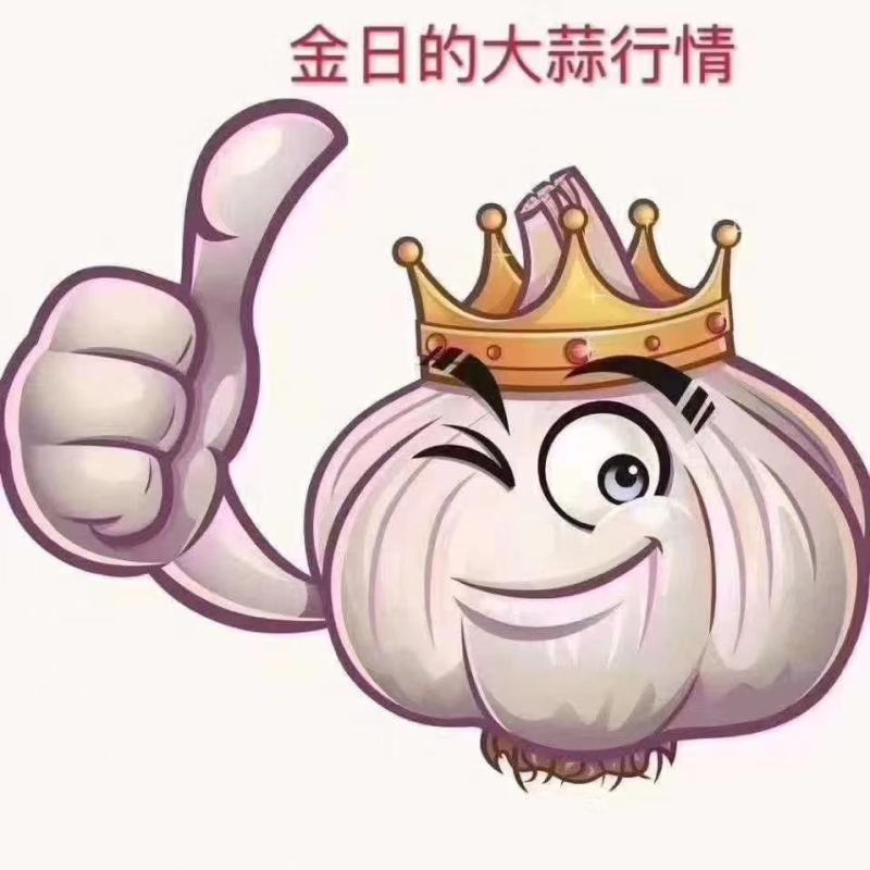 【牛商推荐】山东优质大蒜全国各发货金乡大蒜山东大蒜