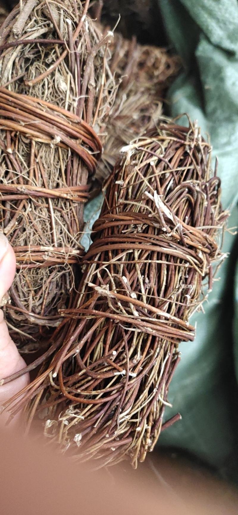 广西野生鸡骨草小叶扎把鸡骨草新货，一手货源
