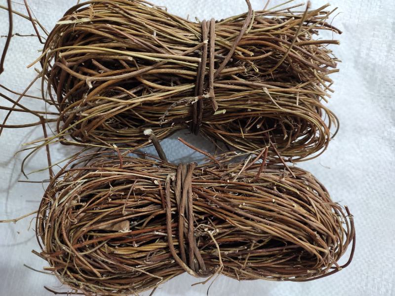 广西野生鸡骨草小叶扎把鸡骨草新货，一手货源