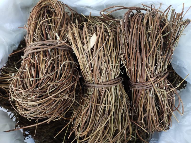 广西野生鸡骨草小叶扎把鸡骨草新货，一手货源