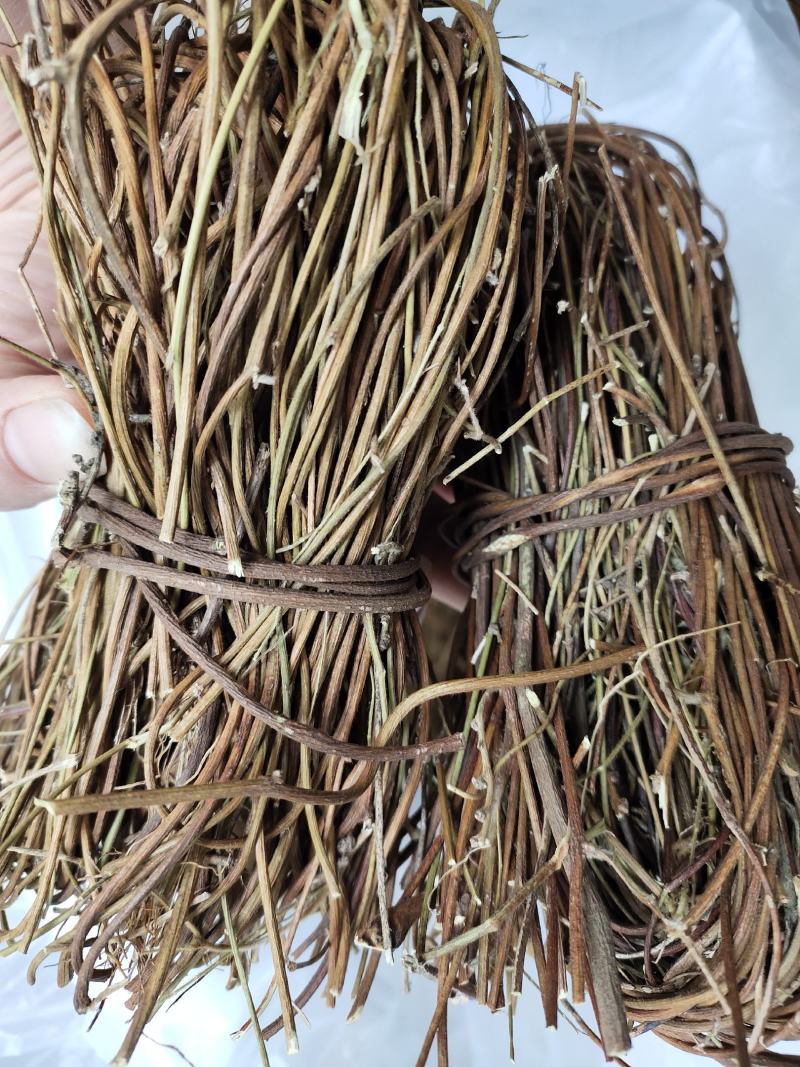 广西野生鸡骨草小叶扎把鸡骨草新货，一手货源