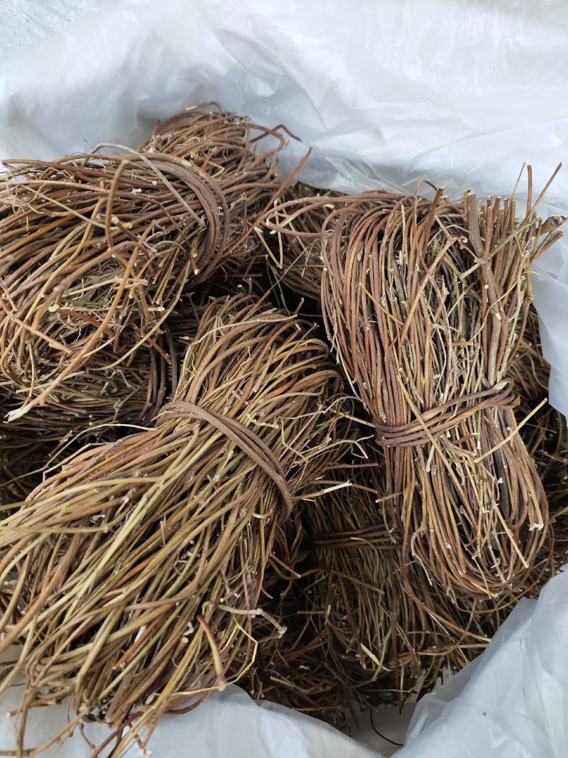 广西野生鸡骨草小叶扎把鸡骨草新货，一手货源