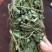 带叶鸡骨草茶小扎捆绑鸡骨草颜色青绿，货源充足