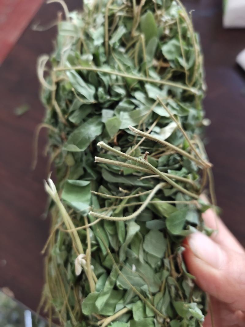带叶鸡骨草茶小扎捆绑鸡骨草颜色青绿，货源充足