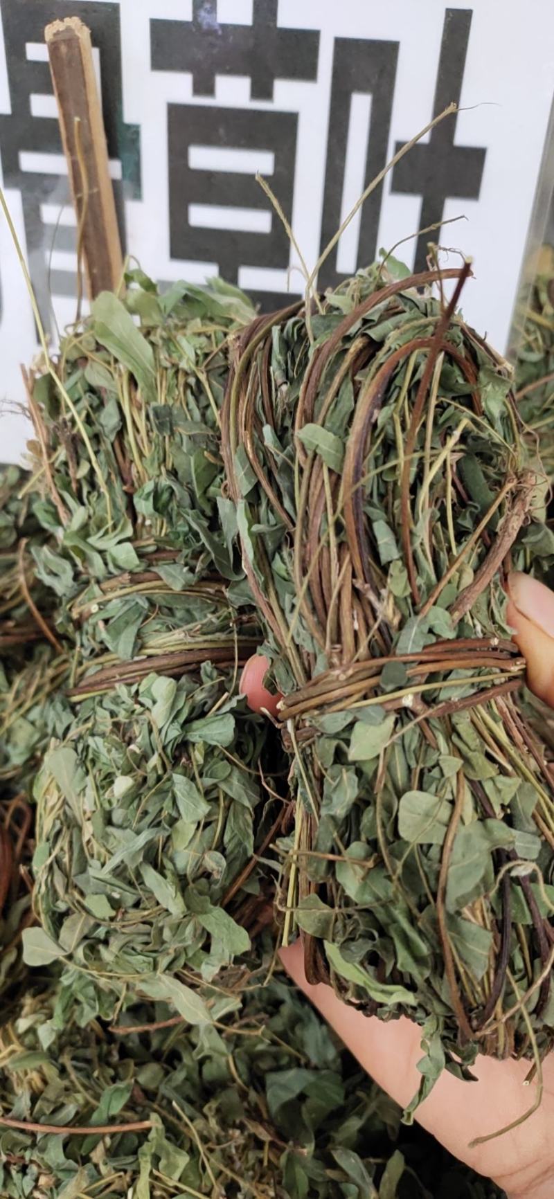 带叶鸡骨草茶小扎捆绑鸡骨草颜色青绿，货源充足