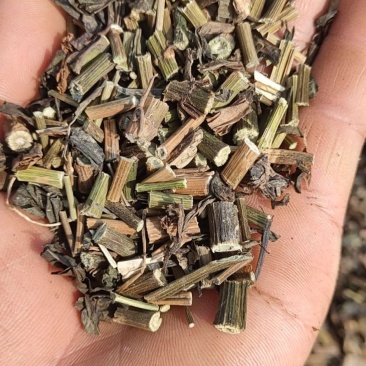 刀功好颜色好的头茬佩兰