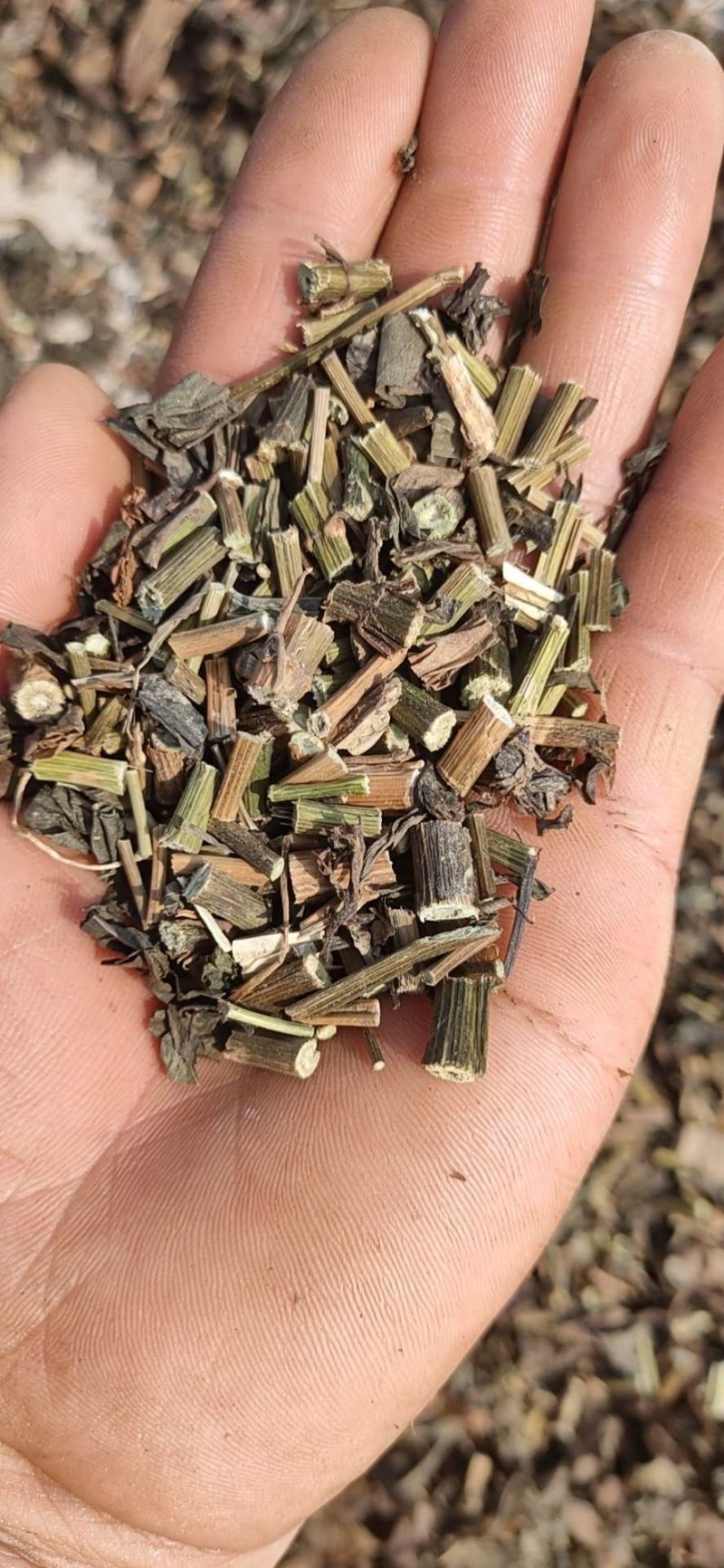 刀功好颜色好的头茬佩兰