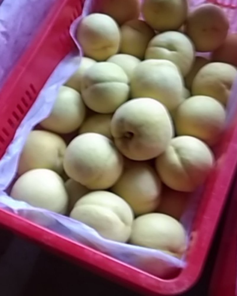 黄金黄大量上市，口感好，甜度大，乃储存欢迎全国各地朋友来
