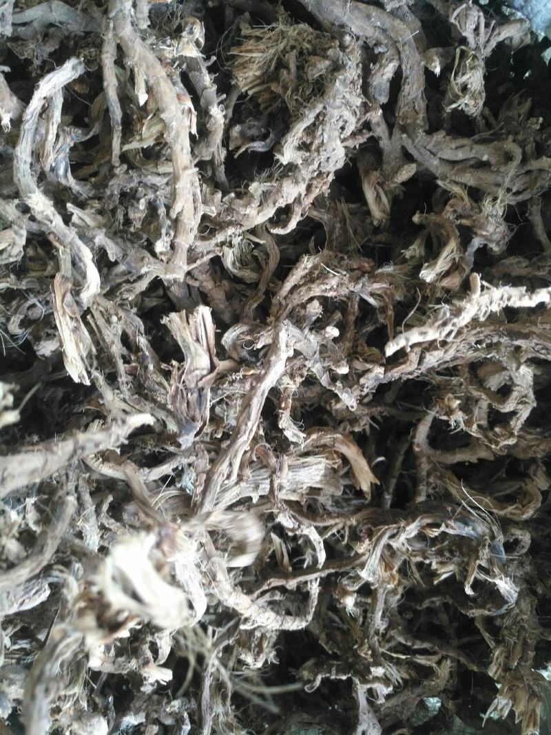 石菖蒲，野生个子不太大，适合药厂货
